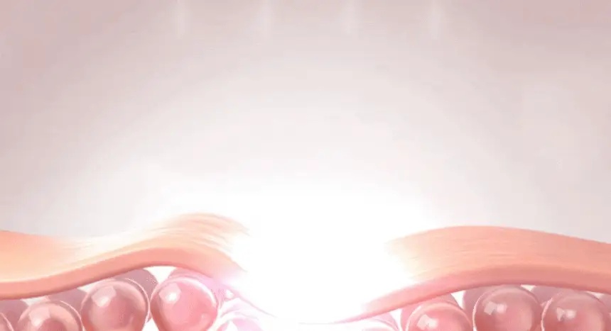 Thumbnail 18