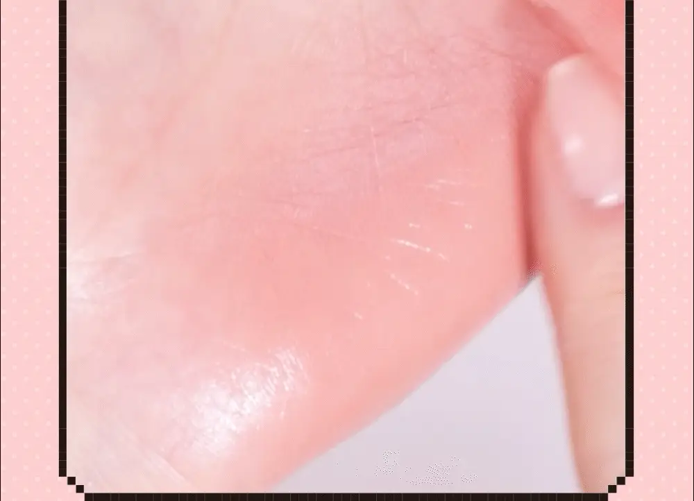 Thumbnail 24
