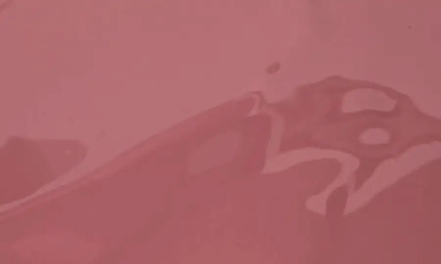 Thumbnail 28