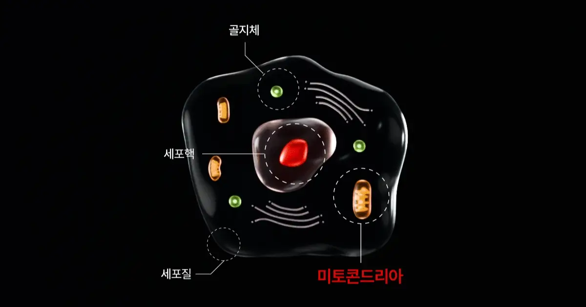 Thumbnail 57