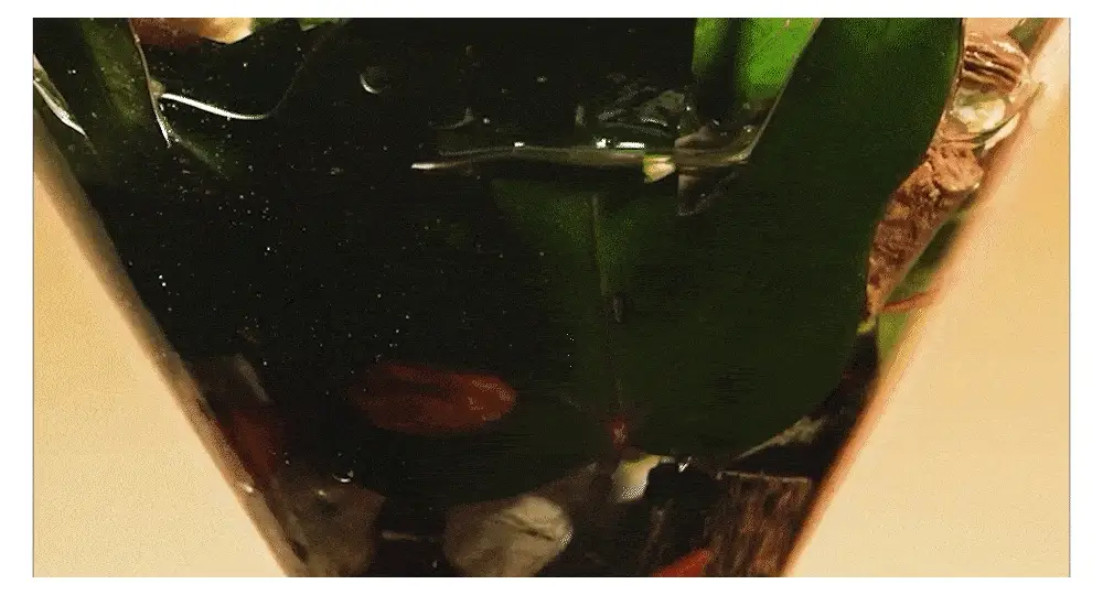 Thumbnail 24